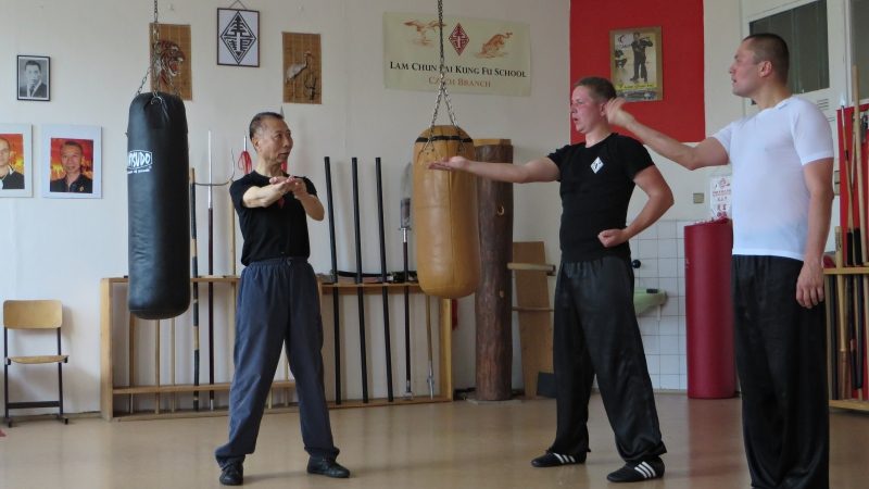 2015 — velmistr v naší škole — fotografie 8